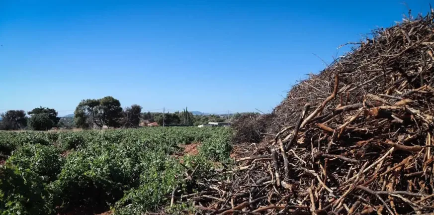 Παράταση υποβολής για τα ακαθάριστα οικόπεδα έως τις 15 Ιουνίου Παράταση