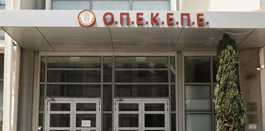 Θεσμική διερεύνηση για τον ΟΠΕΚΕΠΕ ζητά το ΚΚΕ: «Δεν είναι κεραυνός εν αιθρία» Θεσμική διερεύνηση για τον ΟΠΕΚΕΠΕ ζητά το ΚΚΕ: «Δεν είναι κεραυνός εν αιθρία»