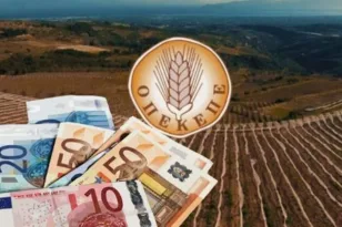 Από τις «χρυσές» επιδοτήσεις στο λουκέτο του ΟΠΕΚΕΠΕ, η έρευνα της Ευρωπαϊκής Εισαγγελίας