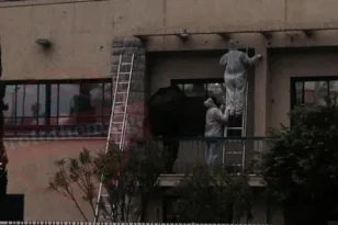 Ουάσιγκτον: Αυτό είναι το ζευγάρι που έχασε την ζωή στην δολοφονική επίθεση