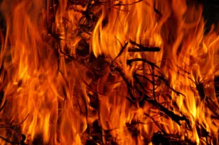 Απαράδεκτη κρατική απουσία στον Ερύμανθο: Χωρίς αποζημιώσεις οι πυρόπληκτοι μήνες μετά τη μεγάλη πυρκαγιά