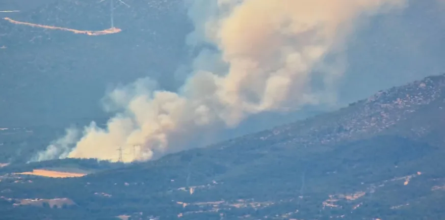Φωτιά στη Ριτσώνα: 50 πυροσβέστες και εναέρια μέσα στη μάχη με τις φλόγες Φωτιά στη Ριτσώνα: 50 πυροσβέστες και εναέρια μέσα στη μάχη με τις φλόγες