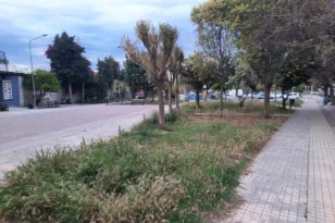 σπιράλ: Χορτάρια παντού, αντίδραση καμία ΦΩΤΟ