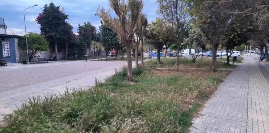 σπιράλ: Χορτάρια παντού, αντίδραση καμία ΦΩΤΟ σπιράλ