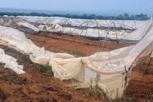 Δυτική Αχαΐα: Θερμοκήπια απειλούν με πλημμύρες – Η Περιφέρεια κρούει τον κώδωνα του κινδύνου και λαμβάνει μέτρα