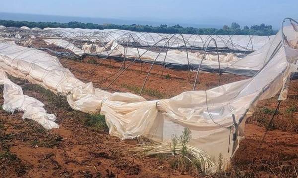 Δυτική Αχαΐα: Θερμοκήπια απειλούν με πλημμύρες - Η Περιφέρεια κρούει τον κώδωνα του κινδύνου και λαμβάνει μέτρα Δυτική