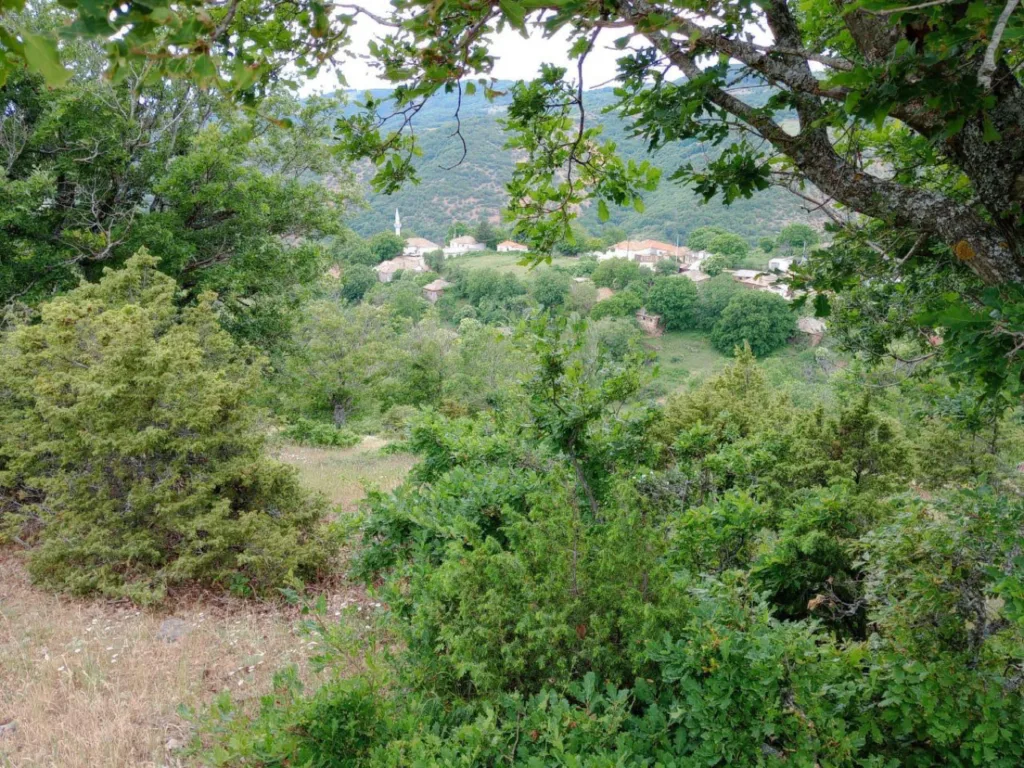 Πώς και γιατί τώρα ο Τούρκος κάνει τον... ανήξερο, «βρέθηκα σε κατάσταση πανικού και τρόμου» ΦΩΤΟ