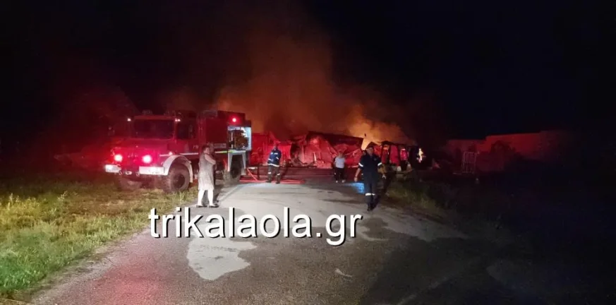 Φωτιά σε βιοτεχνία ξυλείας στα Τρίκαλα: Έρευνες για τα αίτια από την Πυροσβεστική Φωτιά