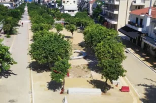 Πάτρα: Ψεκασμός δένδρων την Κυριακή στην Τριών Ναυάρχων