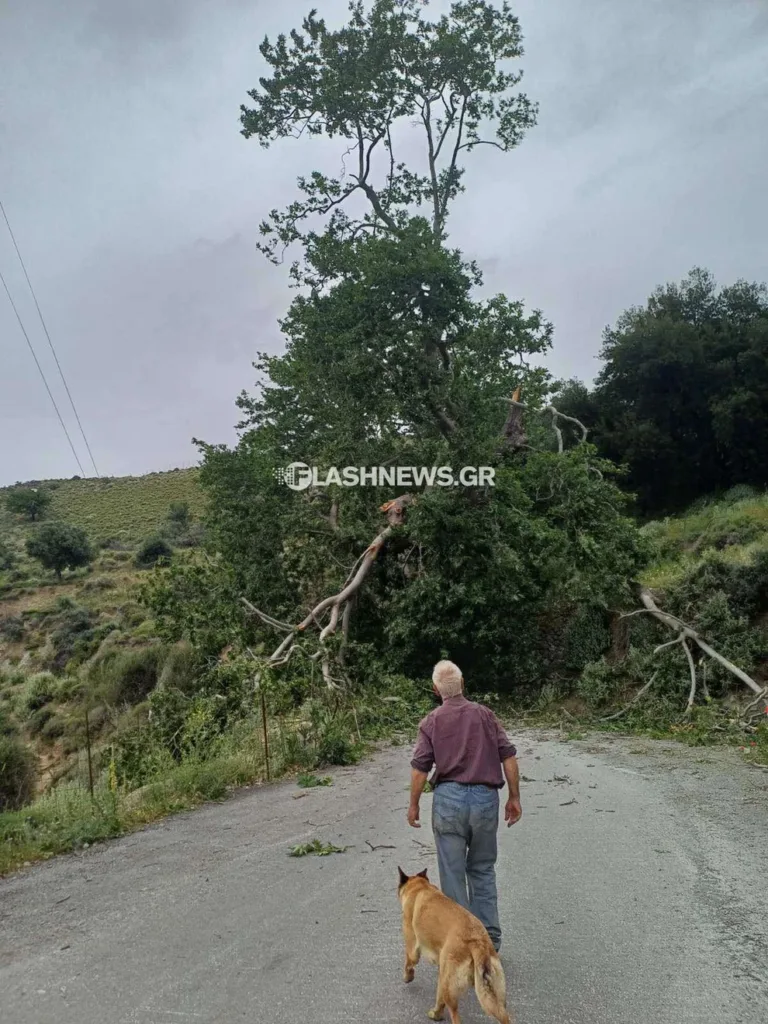 Κακοκαιρία: Προβλήματα σε Αττική, Λαμία, Κρήτη, επιχείρηση διάσωσης ατόμων ΦΩΤΟ - ΒΙΝΤΕΟ