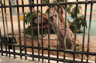 Κακοκαιρία: Προβλήματα σε Αττική, Λαμία, Κρήτη, επιχείρηση διάσωσης ατόμων ΦΩΤΟ - ΒΙΝΤΕΟ