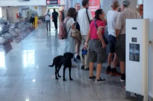 Αδιέξοδο στο λιμάνι της Πάτρας – Απέτυχαν οι διαπραγματεύσεις ΠΕΝΕΝ – Attica Group
