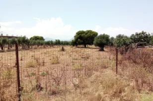 Αγώνας δρόμου για τον καθαρισμό οικοπέδων: Ξεπέρασαν τις 318.000 οι δηλώσεις πριν τη λήξη της προθεσμίας