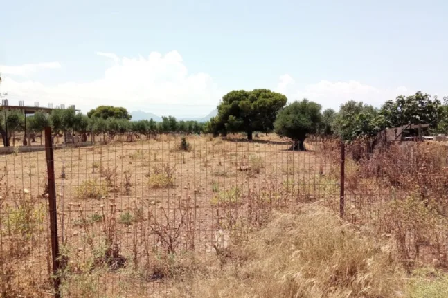 Αγώνας δρόμου για τον καθαρισμό οικοπέδων: Ξεπέρασαν τις 318.000 οι δηλώσεις πριν τη λήξη της προθεσμίας