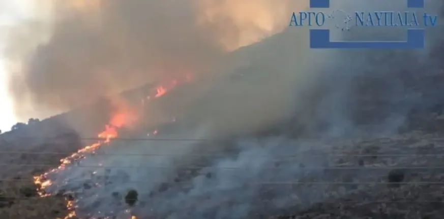Πύρινος συναγερμός στην Αργολίδα με 60 πυροσβέστες, δύο ελικόπτερα και τέσσερα αεροπλάνα!
