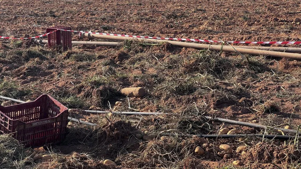 Έσκαβαν για πατάτες και...έπεσαν πάνω σε βόμβα από τον Β' Παγκόσμιο πόλεμο! ΦΩΤΟ
