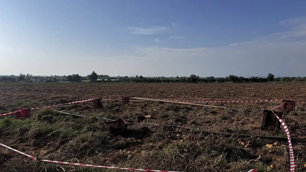 Έσκαβαν για πατάτες και...έπεσαν πάνω σε βόμβα από τον Β' Παγκόσμιο πόλεμο! ΦΩΤΟ