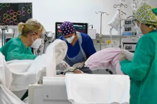 Πάτρα – ΠΓΝΠ: Μόλις 9 νοσηλευτές για τη φροντίδα των χειρουργημένων – Λειτουργεί στο «κόκκινο» η κλινική