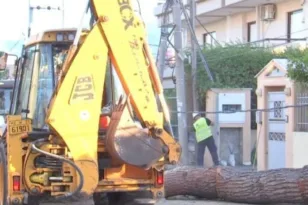 Κηφισιά: Δέντρο έπεσε πάνω σε αυτοκίνητο και μάντρα - Χωρίς ρεύμα μεγάλη περιοχή