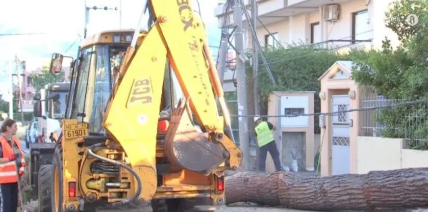 Κηφισιά: Δέντρο έπεσε πάνω σε αυτοκίνητο και μάντρα - Χωρίς ρεύμα μεγάλη περιοχή Κηφισιά: Δέντρο έπεσε πάνω σε αυτοκίνητο και μάντρα - Χωρίς ρεύμα μεγάλη περιοχή