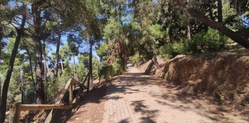 Πάτρα: Γερασμένο, απαξιωμένο και αναξιοποίητο το Δασύλλιο ΦΩΤΟ Πάτρα: Γερασμένο, απαξιωμένο και αναξιοποίητο το Δασύλλιο ΦΩΤΟ