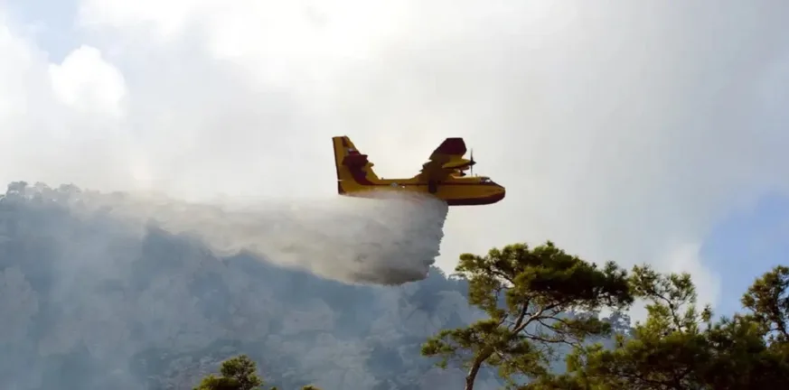 Φωτιά στην Παλαιοκερασιά Φθιώτιδας: Επιχειρούν επίγειες και εναέριες δυνάμεις Φωτιά στην Παλαιοκερασιά Φθιώτιδας: Επιχειρούν επίγειες και εναέριες δυνάμεις