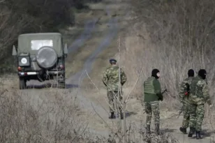 Φορτηγό με ψάρια μετέφερε… 30 πιστόλια: Συναγερμός στον Έβρο