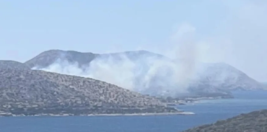 Φωτιά στην Παλαιά Φώκαια: Μεγάλη κινητοποίηση της Πυροσβεστικής - Ήχησε το 112 Φωτιά στην Παλαιά Φώκαια: Μεγάλη κινητοποίηση της Πυροσβεστικής - Ήχησε το 112