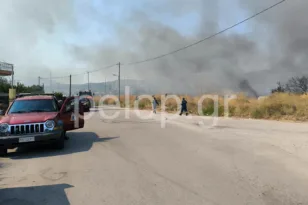 Πάτρα: Δύο φωτιές σε Ριγανόκαμπο και Ρωμανό – Συναγερμός σε Πυροσβεστική και Αστυνομία