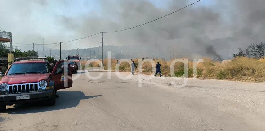 Πάτρα: Δύο φωτιές σε Ριγανόκαμπο και Ρωμανό – Έγκαιρη η επέμβαση της Πυροσβεστικής Πάτρα: Δύο φωτιές σε Ριγανόκαμπο και Ρωμανό – Έγκαιρη η επέμβαση της Πυροσβεστικής