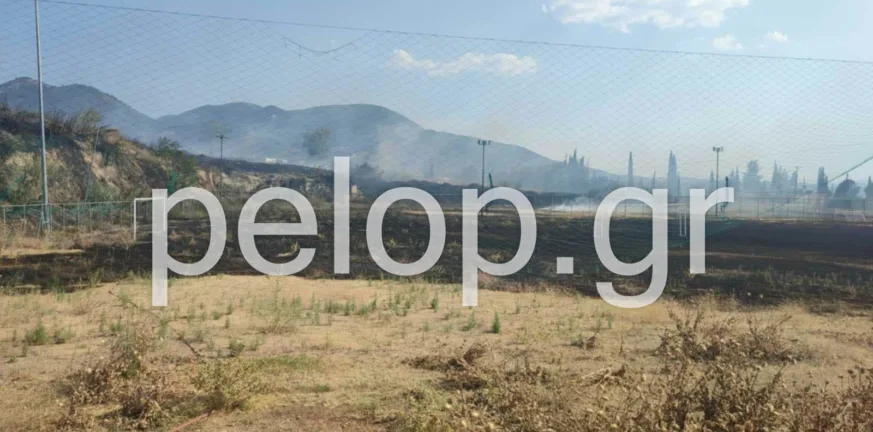 Πάτρα: Ένα ολόκληρο γήπεδο έγινε παρανάλωμα του πυρρός ΒΙΝΤΕΟ, ΦΩΤΟ Πάτρα: Ένα ολόκληρο γήπεδο έγινε παρανάλωμα του πυρρός ΒΙΝΤΕΟ, ΦΩΤΟ