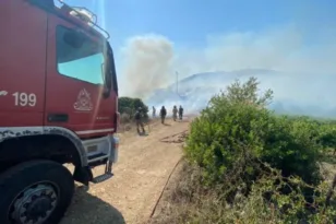 Πάτρα: Δύο φωτιές σε Ριγανόκαμπο και Ρωμανό – Συναγερμός σε Πυροσβεστική και Αστυνομία