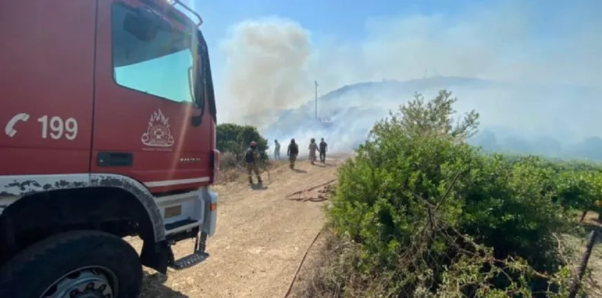 Φωτιά στον Πεντάλοφο: Στάχυα άναψαν το δάσος – Άμεση επέμβαση της Πυροσβεστικής Φωτιά στον Πεντάλοφο: Στάχυα άναψαν το δάσος – Άμεση επέμβαση της Πυροσβεστικής