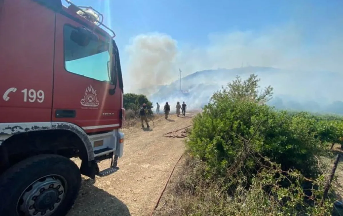Φωτιά στον Πεντάλοφο: Στάχυα άναψαν το δάσος – Άμεση επέμβαση της Πυροσβεστικής