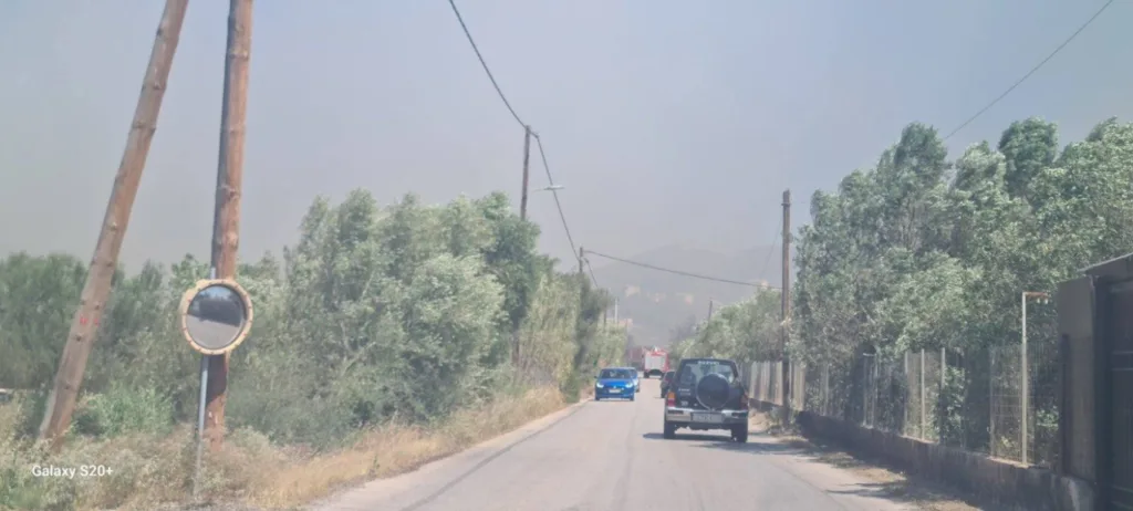 Φωτιά στην Ανάβυσσο: Πολύ κοντά σε σπίτια οι φλόγες - Εντολή εκκένωσης της Παλαιάς Φώκαιας