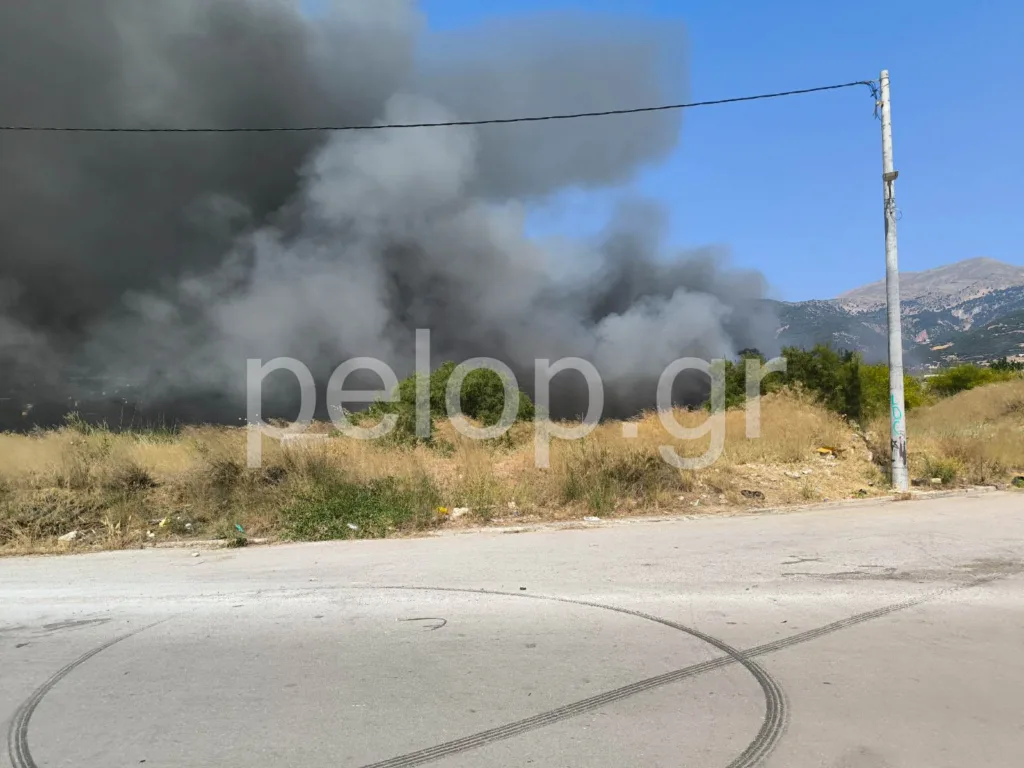Πάτρα: Δύο φωτιές σε Ριγανόκαμπο και Ρωμανό – Έγκαιρη η επέμβαση της Πυροσβεστικής