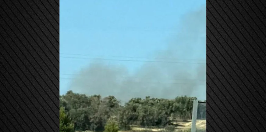 Πυρκαγιά στην Παιανία κοντά σε σπίτια! Πυρκαγιά στην Παιανία κοντά σε σπίτια!