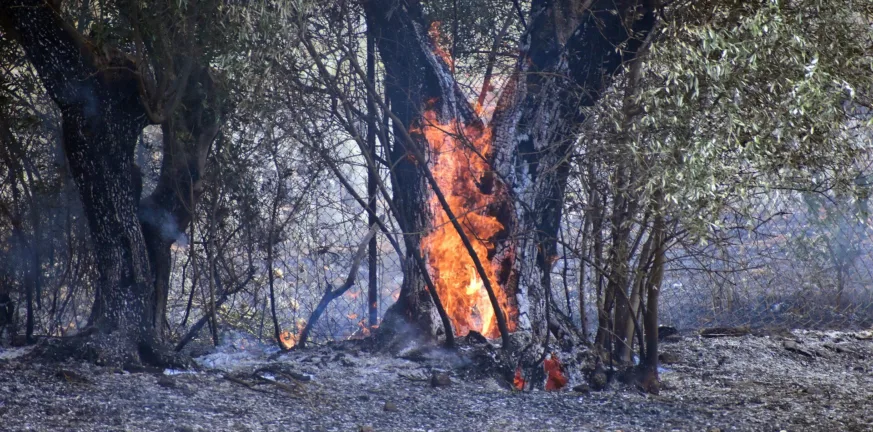 Συνελήφθη και καταδικάστηκε για εμπρησμό, πρόστιμο 1.171 ευρώ Συνελήφθη και καταδικάστηκε για εμπρησμό, πρόστιμο 1.171 ευρώ