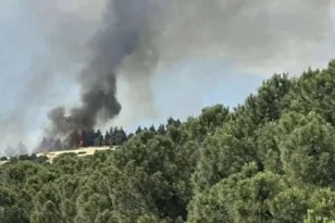 Μεγάλη φωτιά στην Ευκαρπία Θεσσαλονίκης πίσω από το νοσοκομείο Παπαγεωργίου ΒΙΝΤΕΟ, ΦΩΤΟ