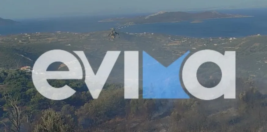 Λήξη συναγερμού για την φωτιά στους Τσακαίους Ευβοίας Λήξη συναγερμού για την φωτιά στους Τσακαίους Ευβοίας