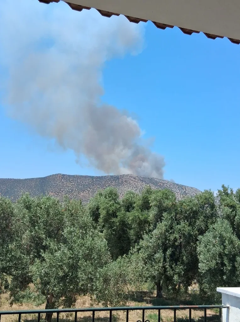 Φλόγες στο Άνω Σούλι Μαραθώνα: Διπλό 112 για εκκένωση, ενισχύονται οι πυροσβεστικές δυνάμεις