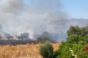 Μέγαρα: Υπό μερικό έλεγχο η φωτιά - Δεν απειλήθηκαν σπίτια