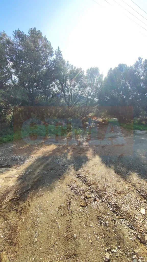 Καταγγελίες που καίνε για το Θυμάρι: Πολίτης είχε προειδοποιήσει, βίντεο δείχνει την εστία, σιωπηλός ο Δήμος