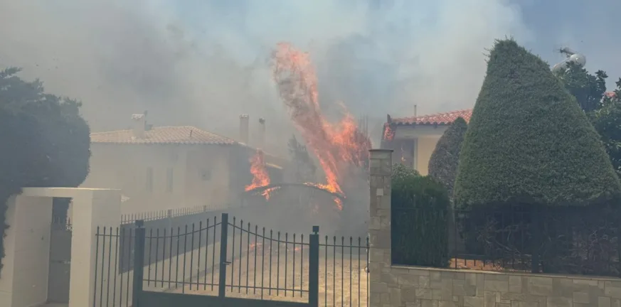 Στις φλόγες η Παλαιά Φώκαια: Εκκενώσεις σπιτιών στο Θυμάρι, παιδιά μεταξύ των διασωθέντων ΦΩΤΟ