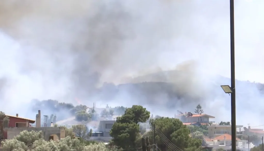 Στις φλόγες η Παλαιά Φώκαια: Εκκενώσεις σπιτιών στο Θυμάρι, παιδιά μεταξύ των διασωθέντων ΦΩΤΟ Στις φλόγες η Παλαιά Φώκαια: Εκκενώσεις σπιτιών στο Θυμάρι, παιδιά μεταξύ των διασωθέντων ΦΩΤΟ