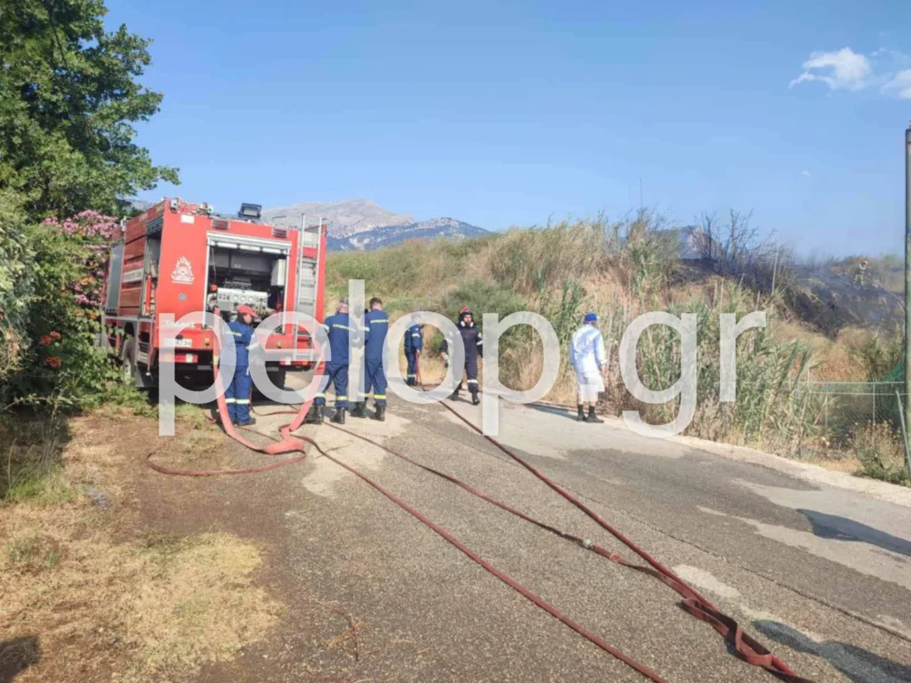 Πάτρα: Ένα ολόκληρο γήπεδο έγινε παρανάλωμα του πυρρός ΒΙΝΤΕΟ, ΦΩΤΟ