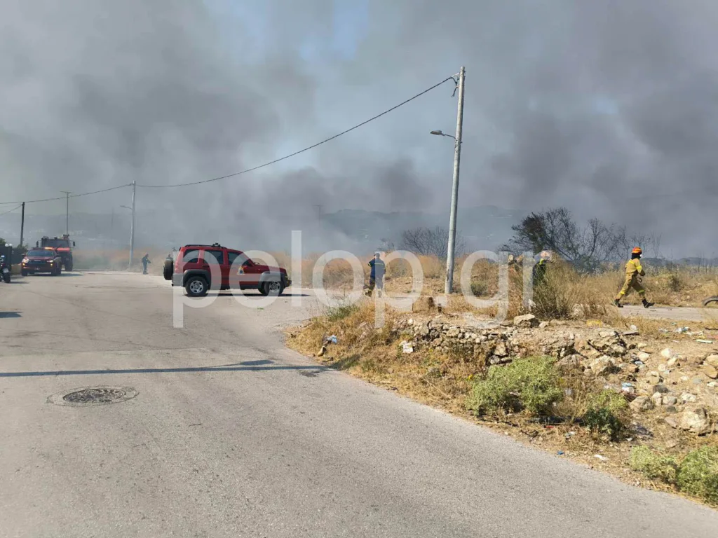Πάτρα: Δύο φωτιές σε Ριγανόκαμπο και Ρωμανό – Έγκαιρη η επέμβαση της Πυροσβεστικής