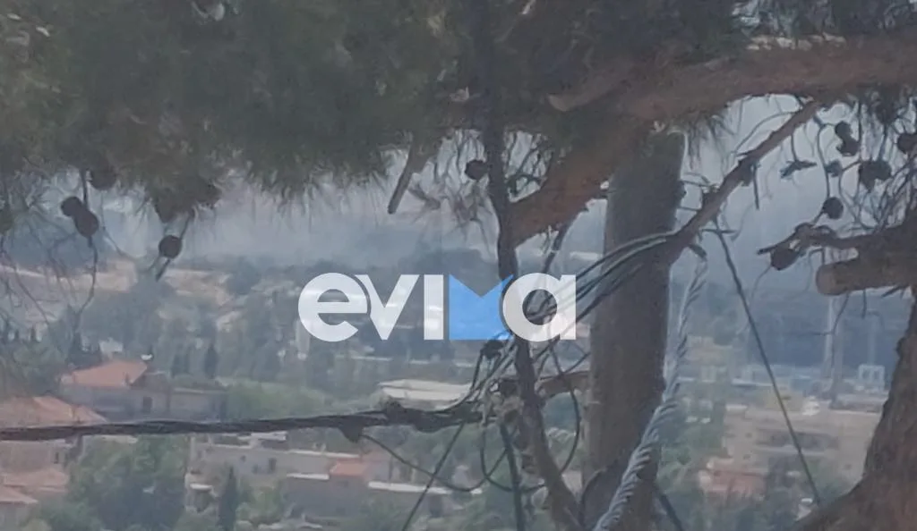 Φωτιά σε χώρο ανακύκλωσης στο Μηλάκι Ευβοίας – Επιχειρούν 28 πυροσβέστες ΦΩΤΟ