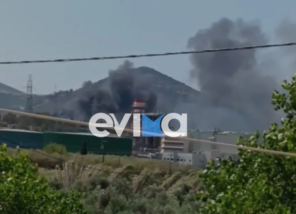 Φωτιά σε χώρο ανακύκλωσης στο Μηλάκι Ευβοίας – Επιχειρούν 28 πυροσβέστες ΦΩΤΟ