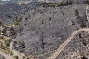 Στη Χίο έγιναν στάχτη 62.000 στρέμματα πρασίνου! ΒΙΝΤΕΟ, ΦΩΤΟ